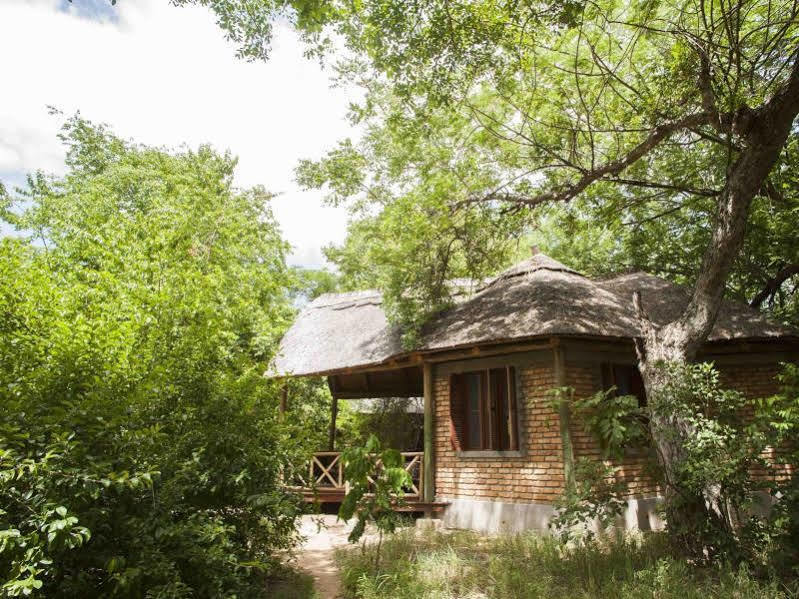 Selous Kinga Lodge Kwangwazi Esterno foto